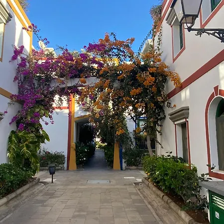 Sonnige Mit Meerblick